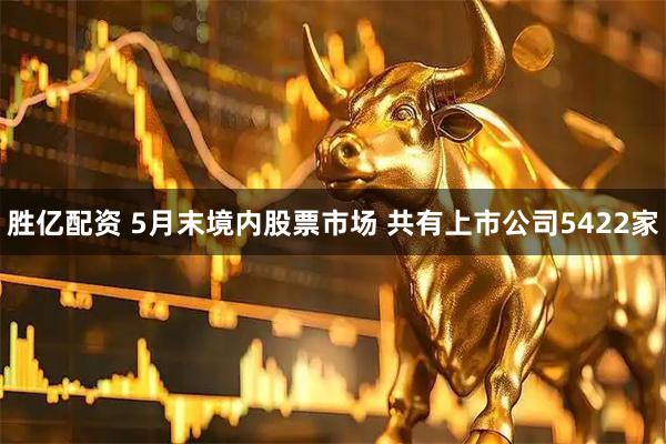 胜亿配资 5月末境内股票市场 共有上市公司5422家